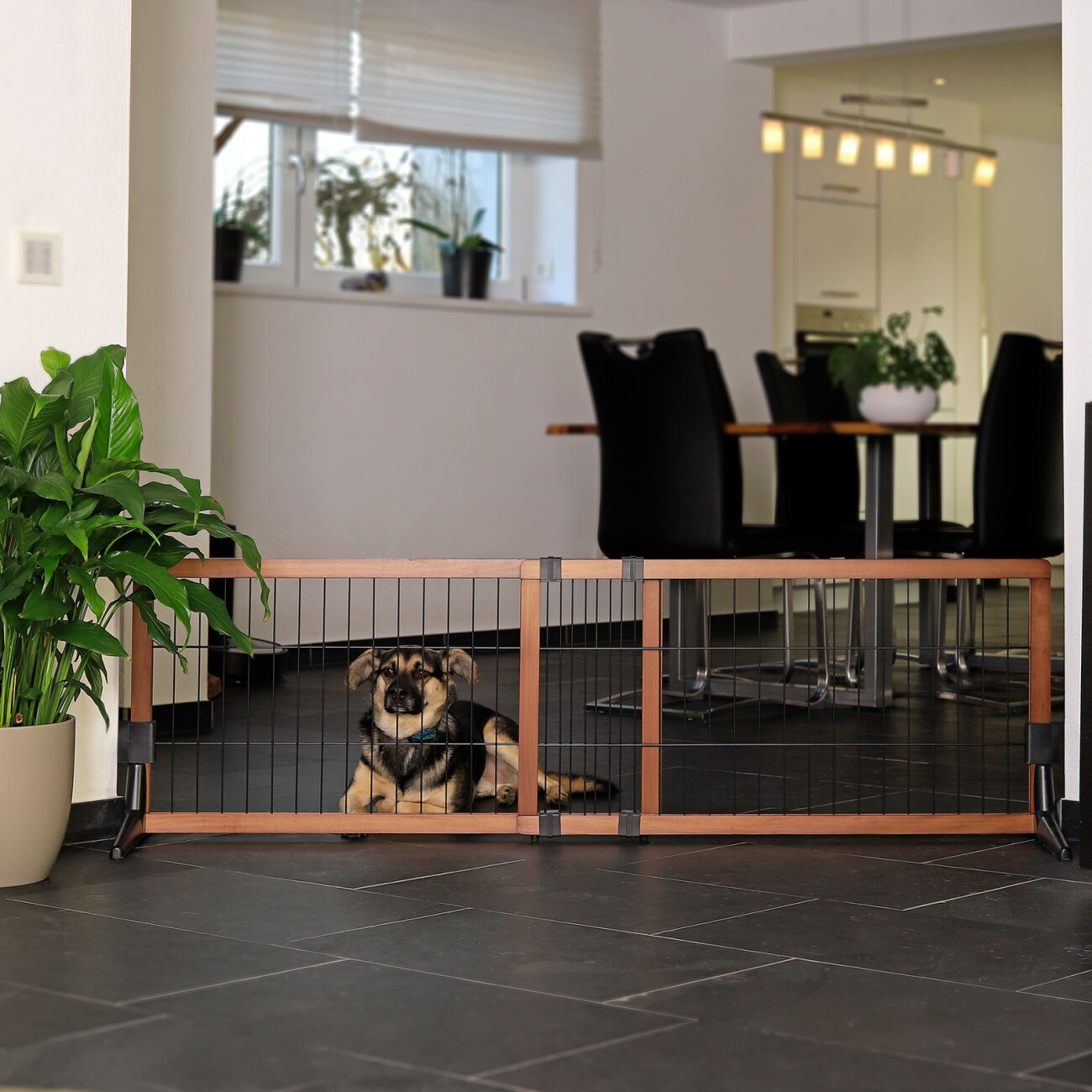 Lionto Absperrgitter EasyGate