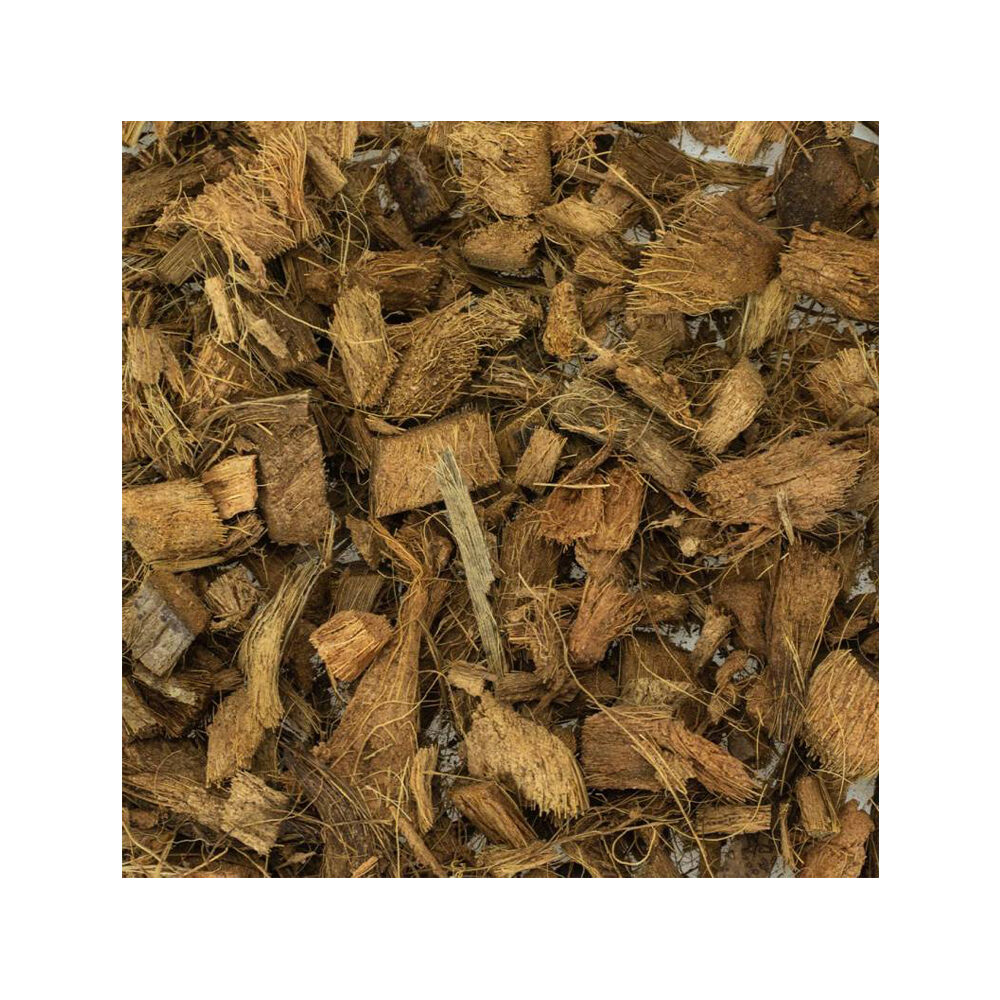 Back Zoo Nature Discovery bedding