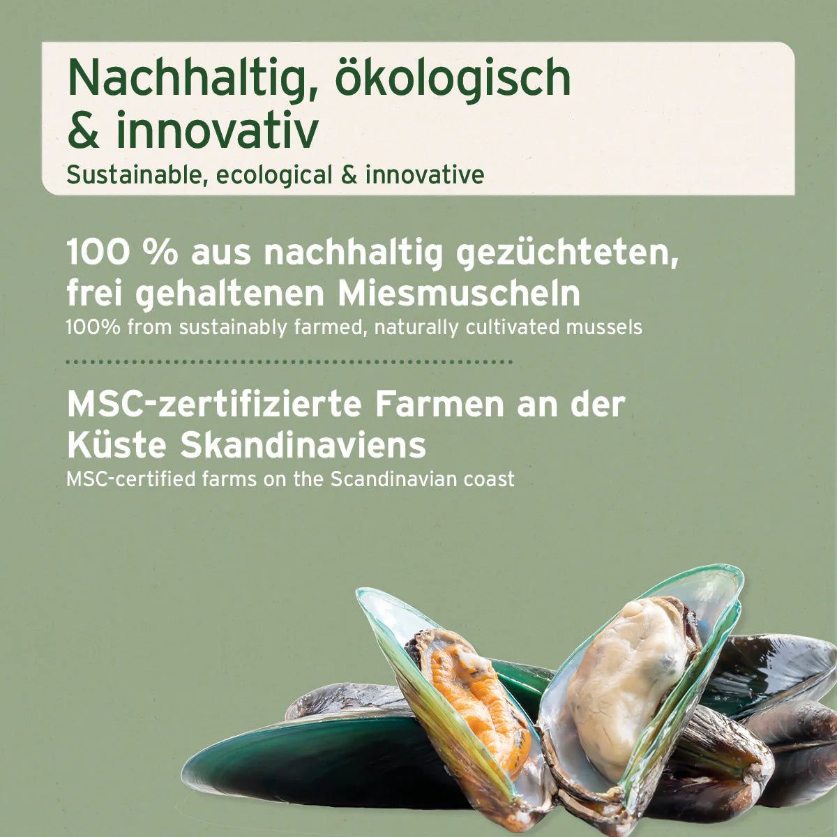 AniForte Muschelkraft Flocken für Hunde und Katzen