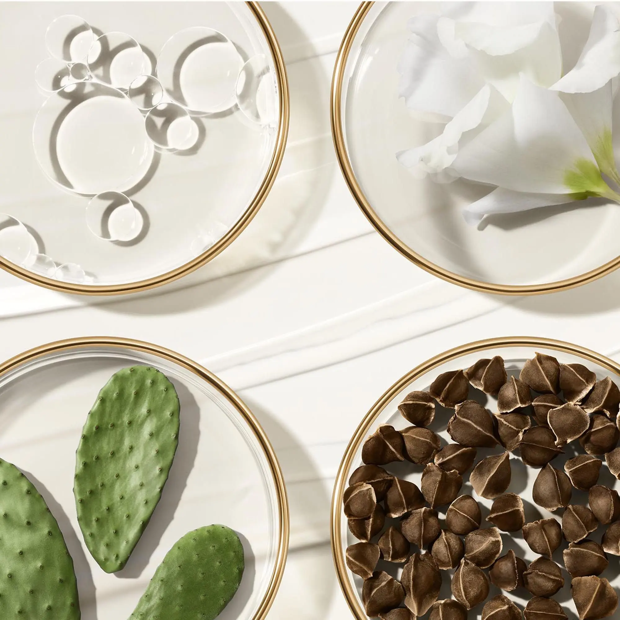 Estée Lauder - Revitalizing Supreme Crème délicate révélatrice de jeunesse- Soin de jour