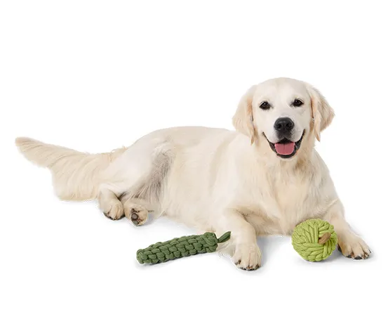 Hundespielzeug Apfel-Zucchini
