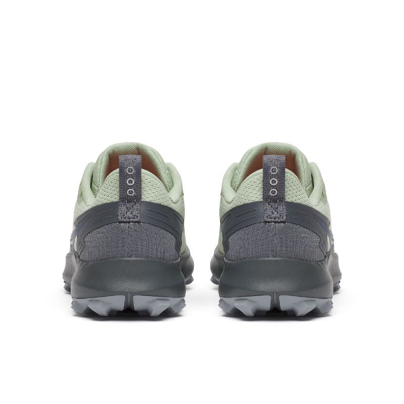 Peregrine 14 GTX - Chaussures trail femme