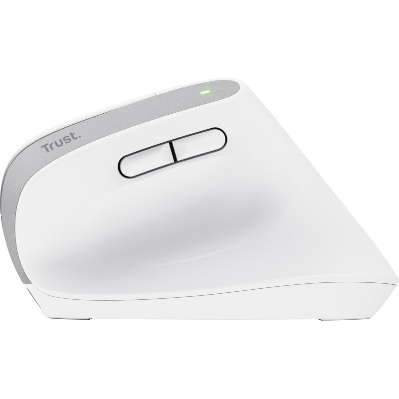 Trust Bayo+ souris Bureau Droitier RF sans fil + Bluetooth Optique 2400 DPI