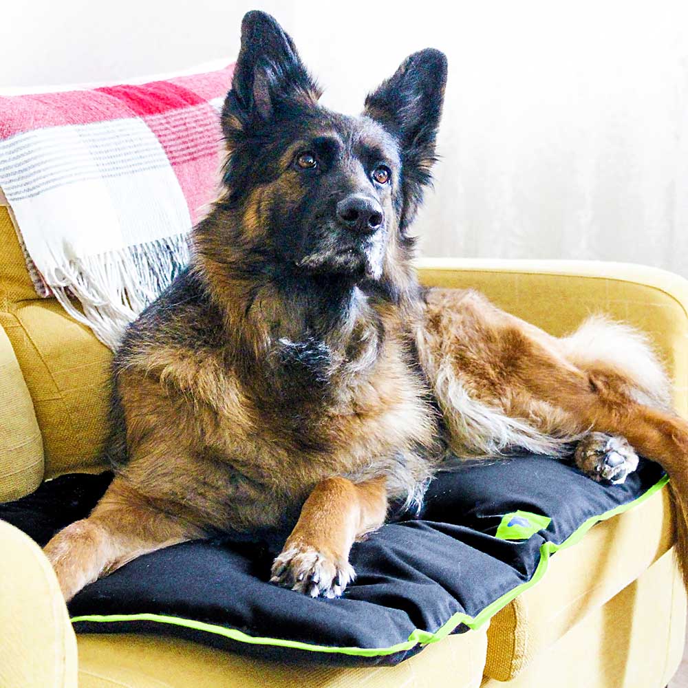 Ferplast panier chien coussin chien moyen taille tissu anti-rayures lavable en machine à 30°cmatelas pour chien imperméable 108 x