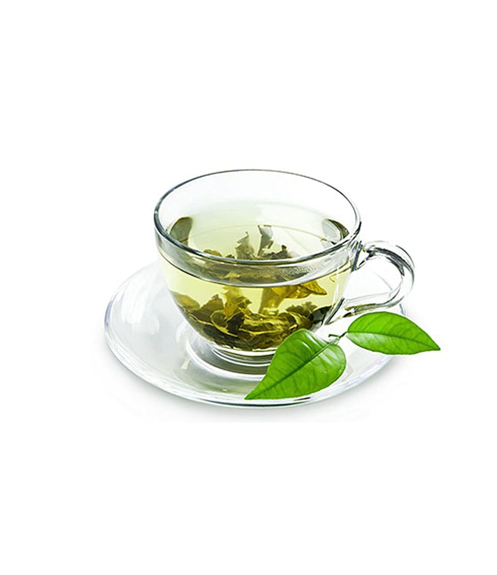 Winterharte Teepflanze