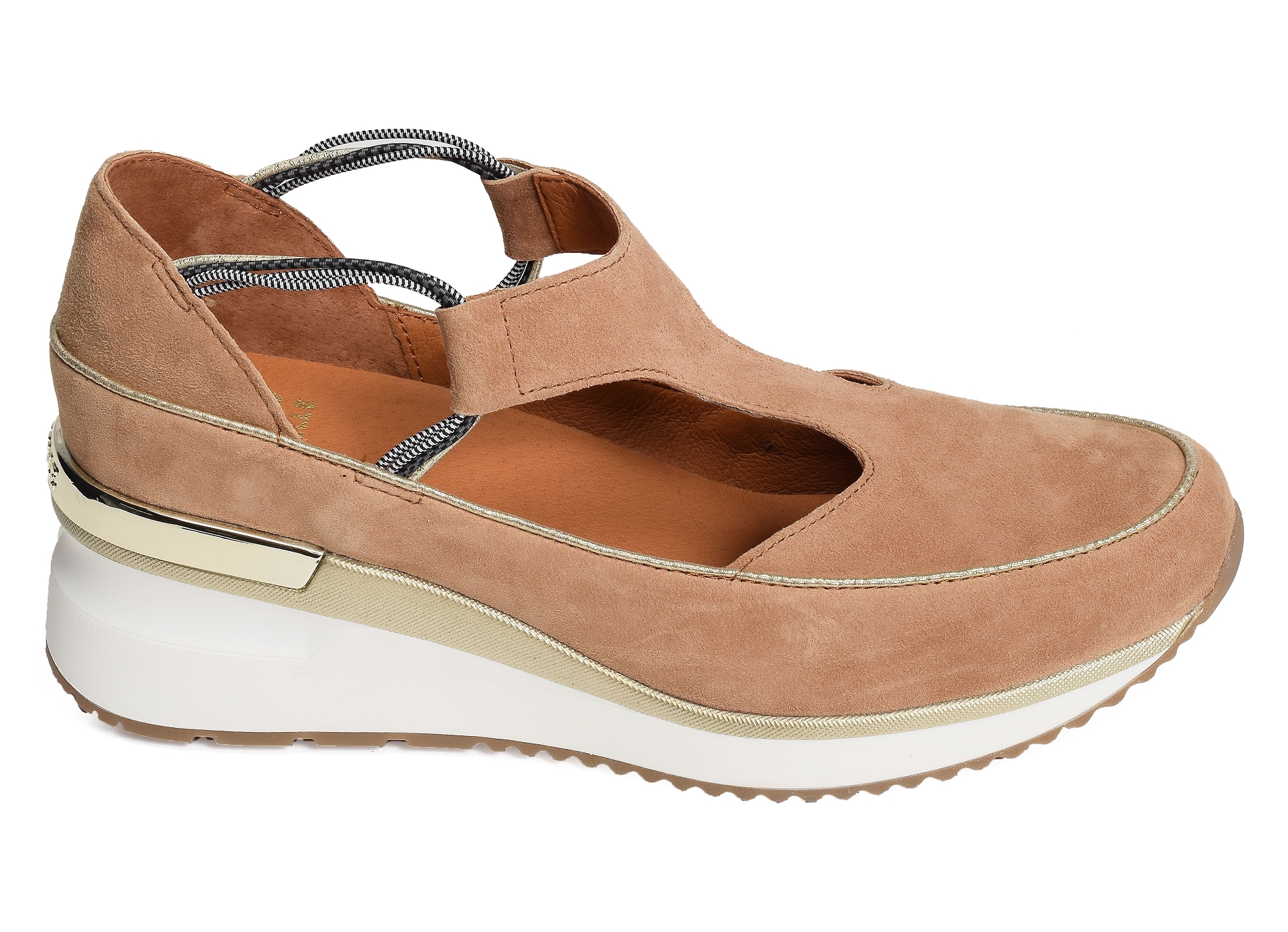 Vasas camel
