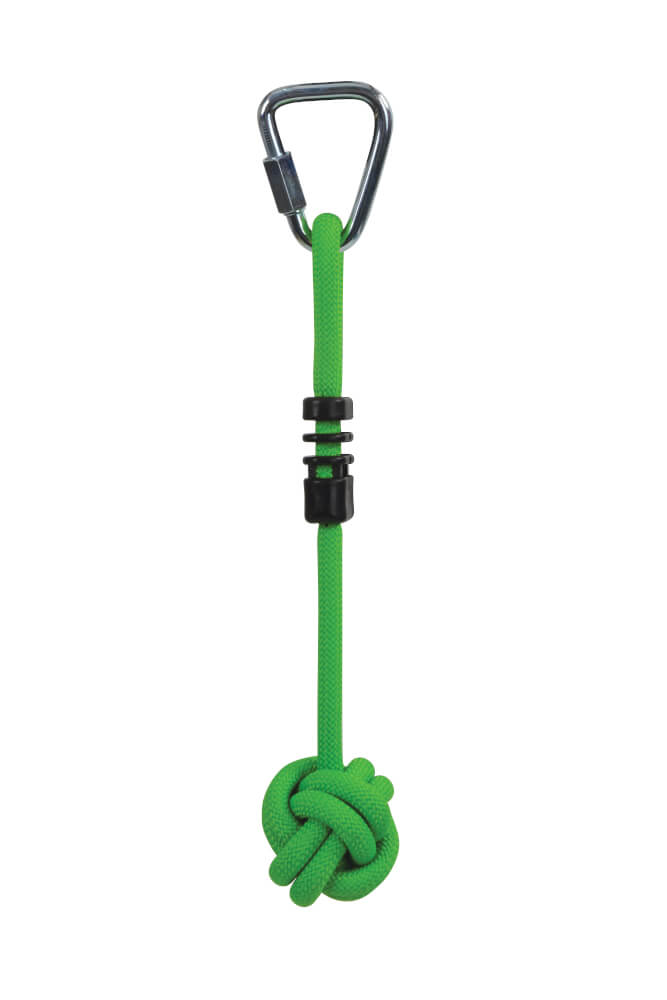 Schildkröt Jungle Line Starter Set