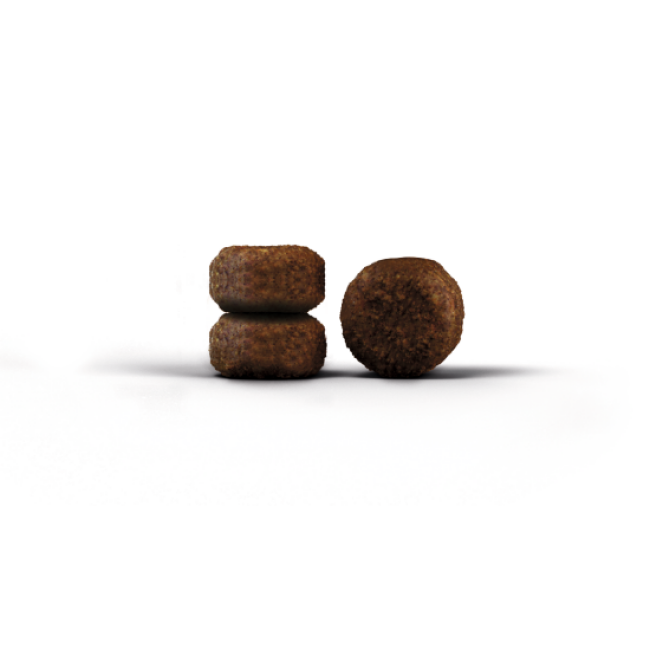 Croquettes Josera Senior pour chat