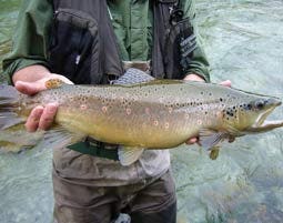 Fliegenfischen in Bad Soden - Spannender Tageskurs