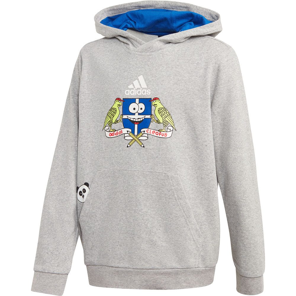 adidas Cleofus Hoodie Jungen medium grey heather