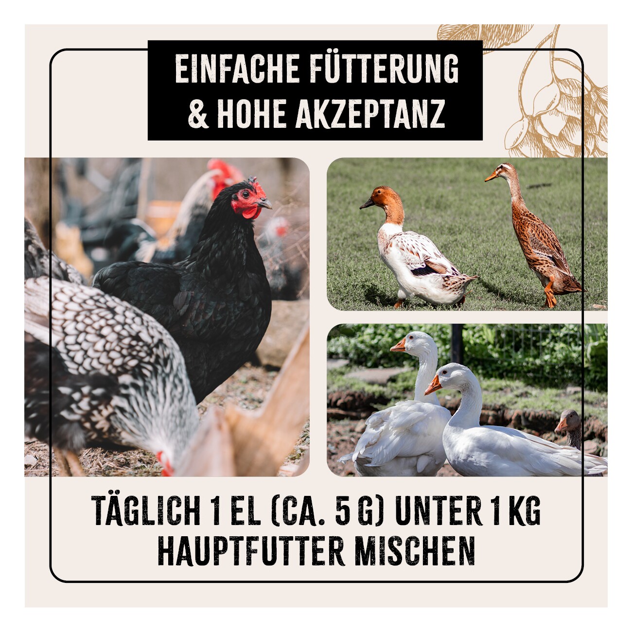 AniForte FarmLife Geflügel Bierhefe Spezial Mix 1kg