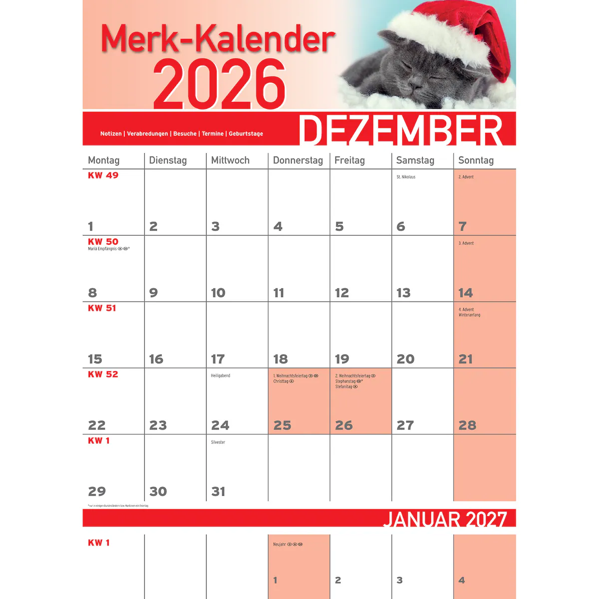 genialo - Merkkalender 2026 „Katzenbabies“