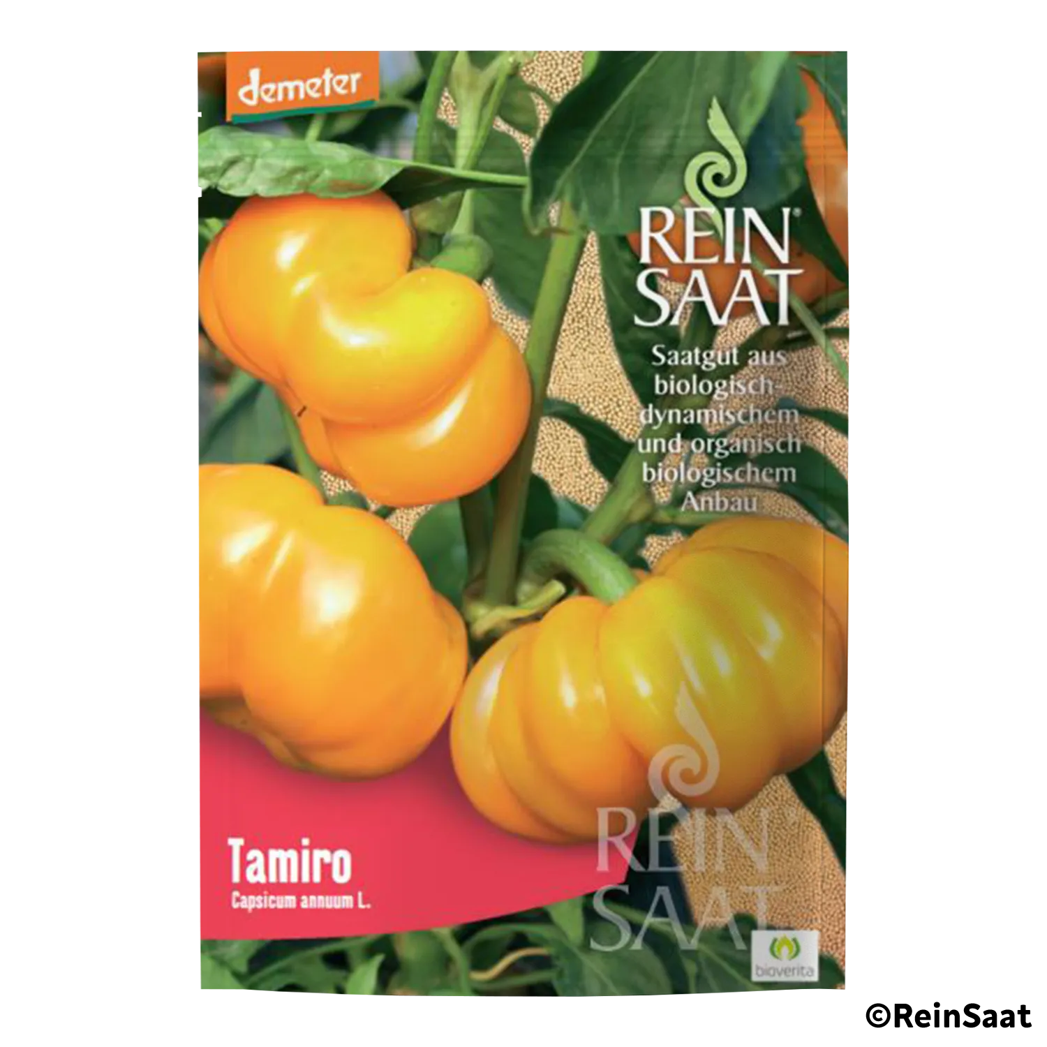 Saatgut Paprika 