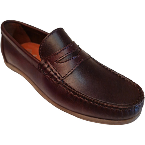 Molina - MORU526MA Marrón