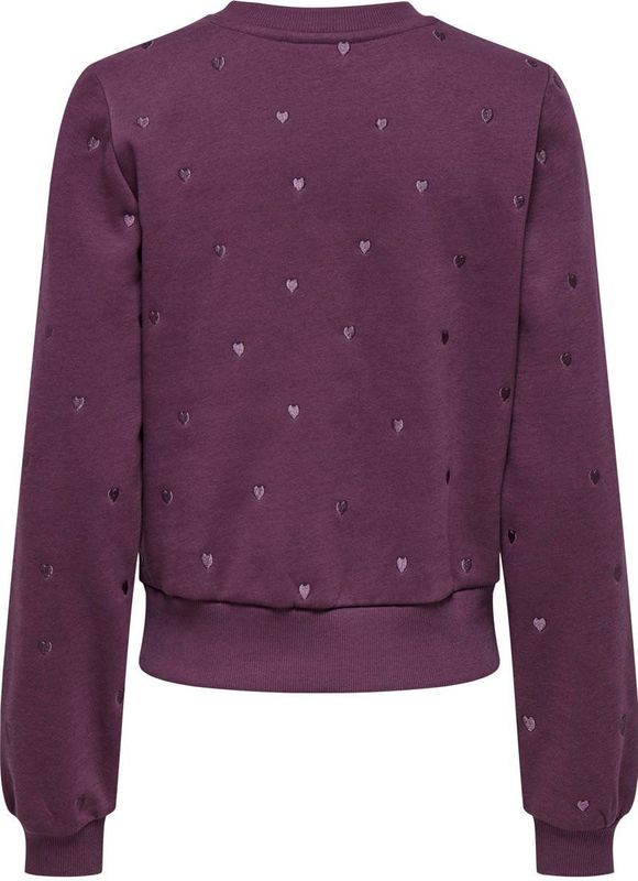 Only - Onlatika O-neck - Trui - Mauve Wine - Glitter Embroidery