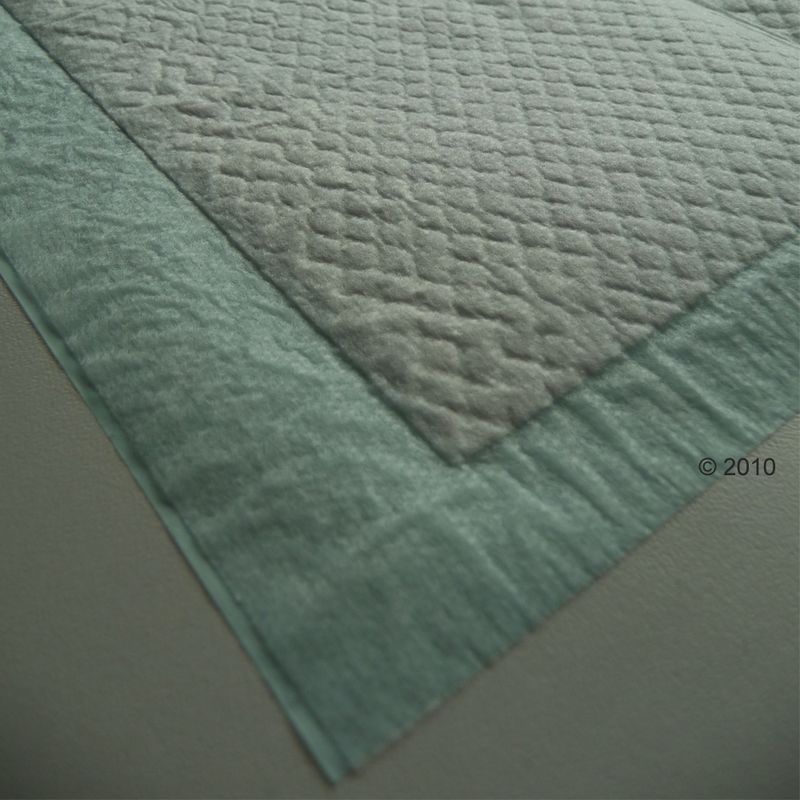 Tapis absorbants Savic Puppy Trainer pour chiot