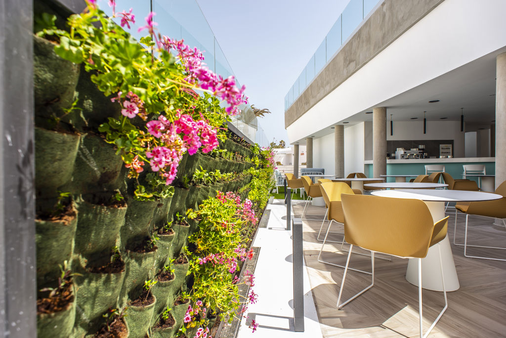 Taimar Hotel All Inclusive - Hotel