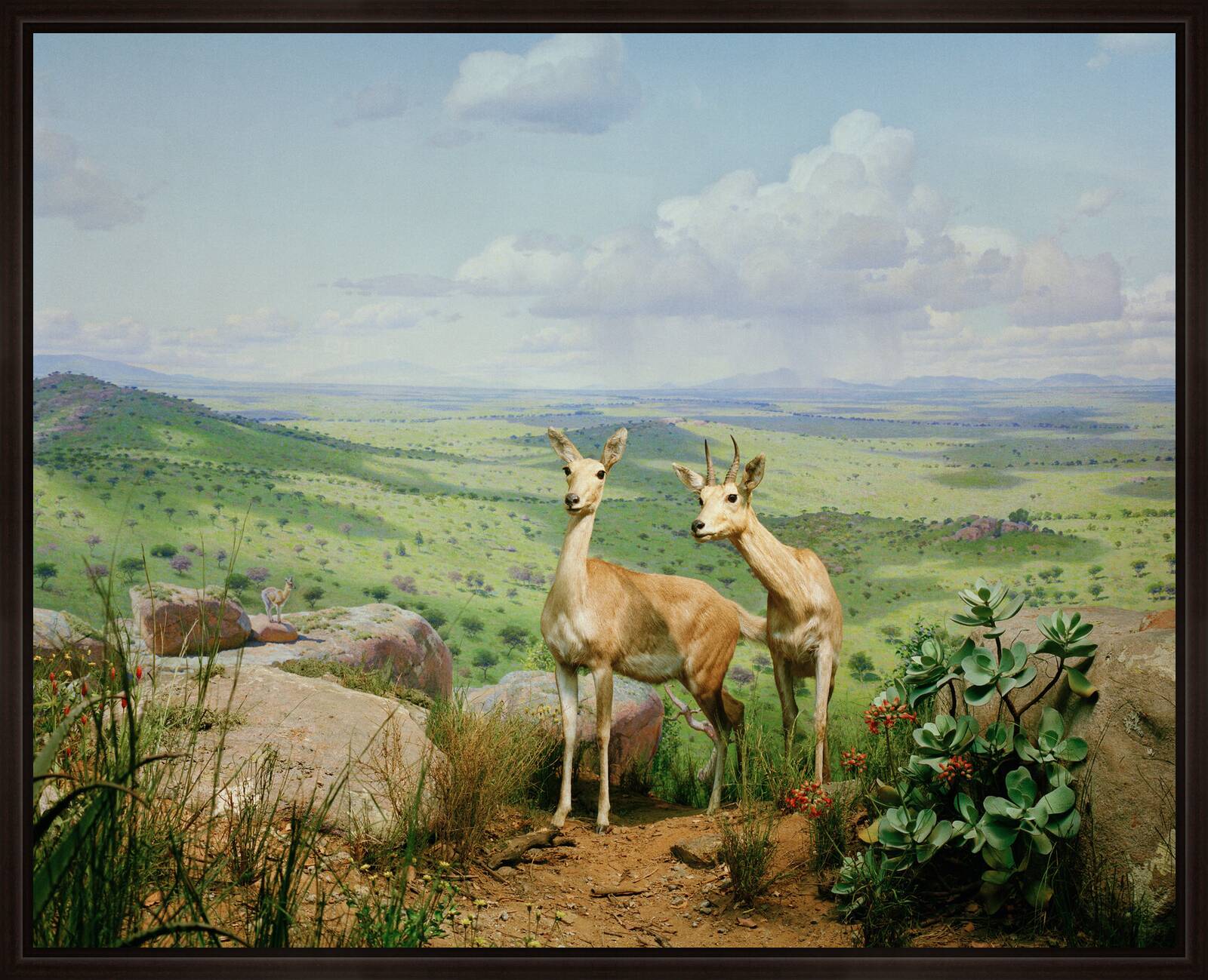 Diorama #11 by Henning Bock - Limited Edition. Edition of: 100. Signed.