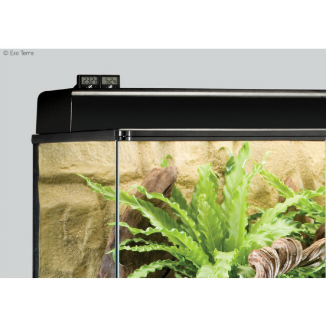 Thermomètre digital Exo Terra pour terrarium