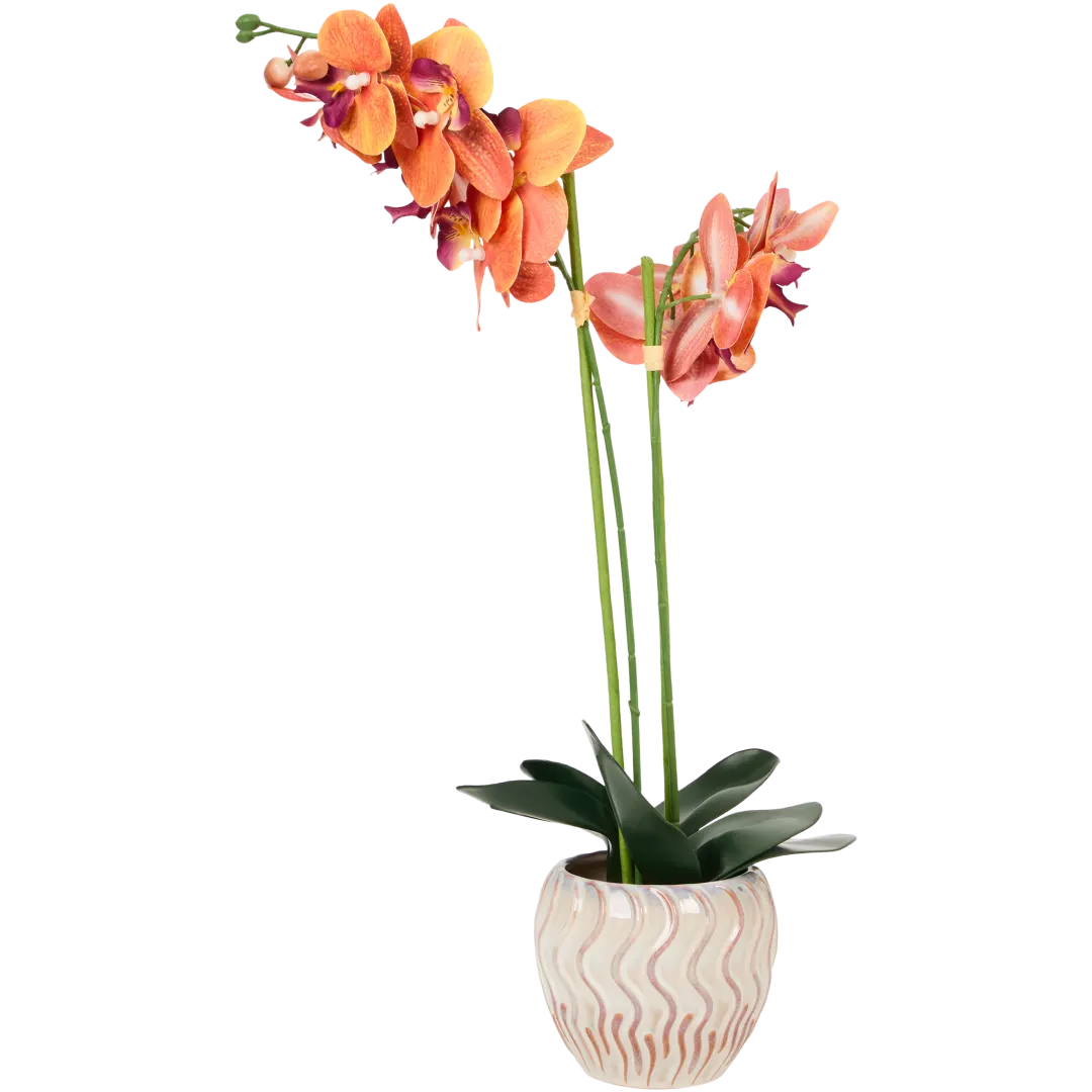 The Hamptons Collections HOME orchidee in pot 52 cm | diverse kleuren