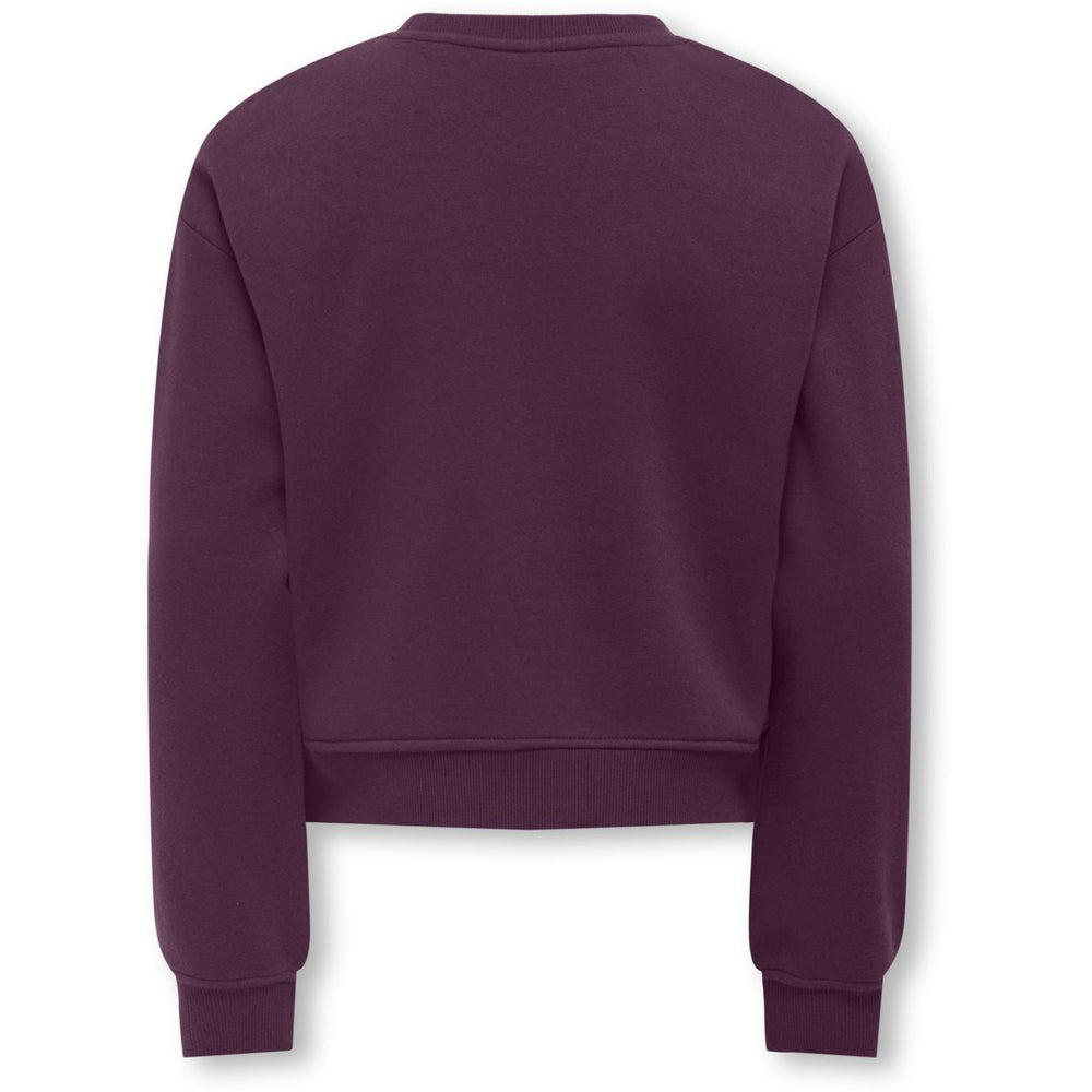 Køb kids ONLY Mauve Wine Los Angeles - California Kogsweat Life Ls Crew Ovz Stat Swt Noos