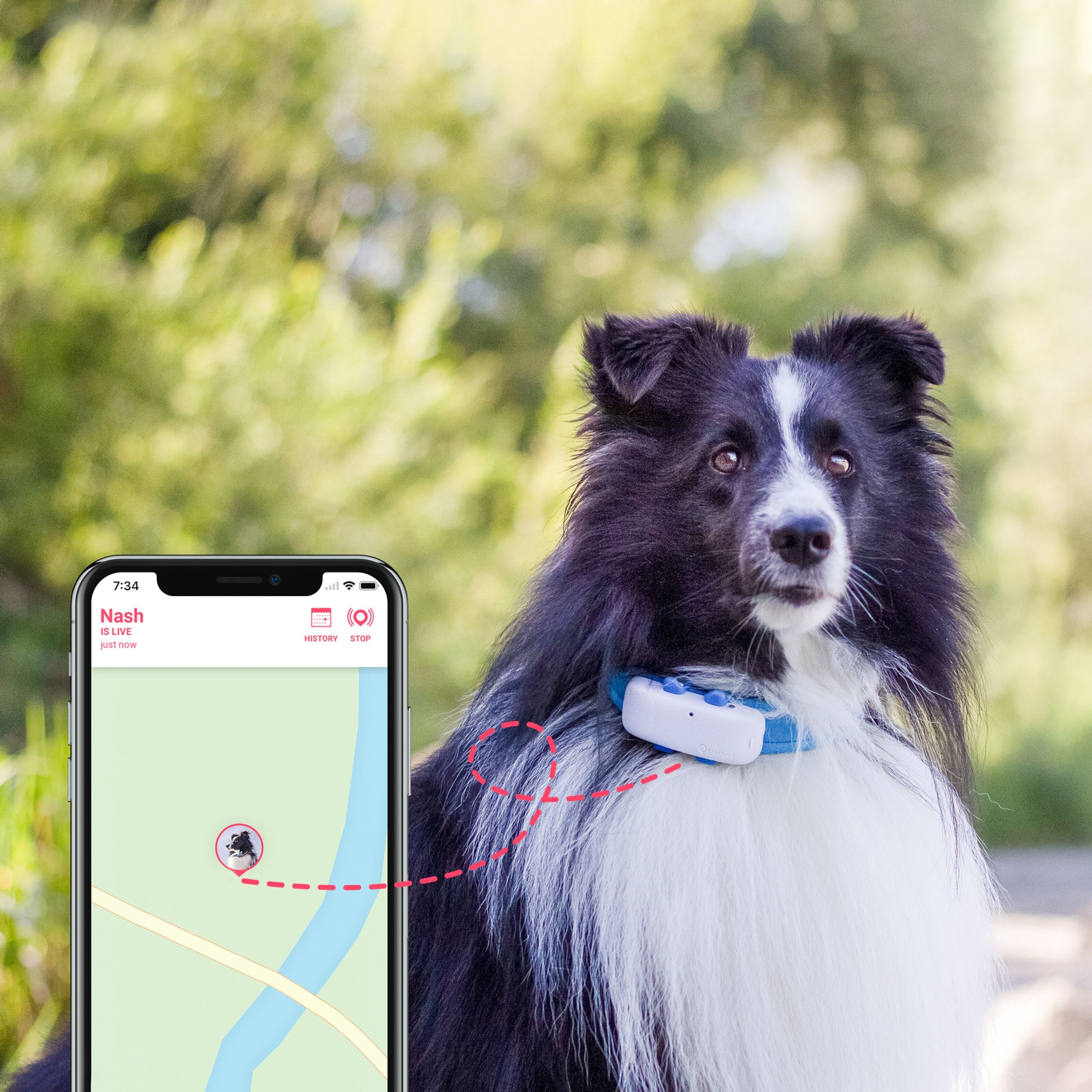 Tractive GPS DOG 4 Hundesporer og aktivitetsovervåker
