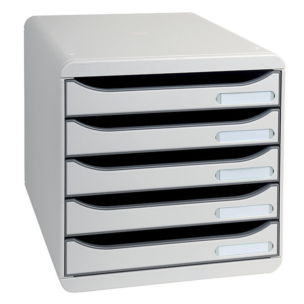 Module de classement Big Box Plus Exacompta coloris gris
