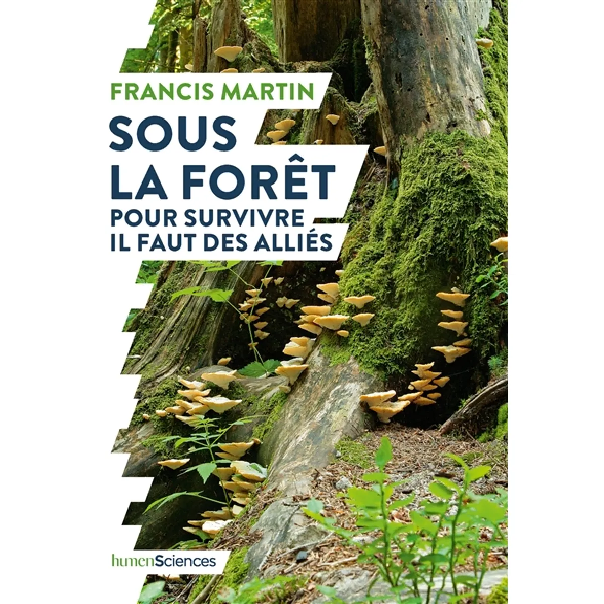 Sous la forêt : pour survivre il faut des alliés · Occasion