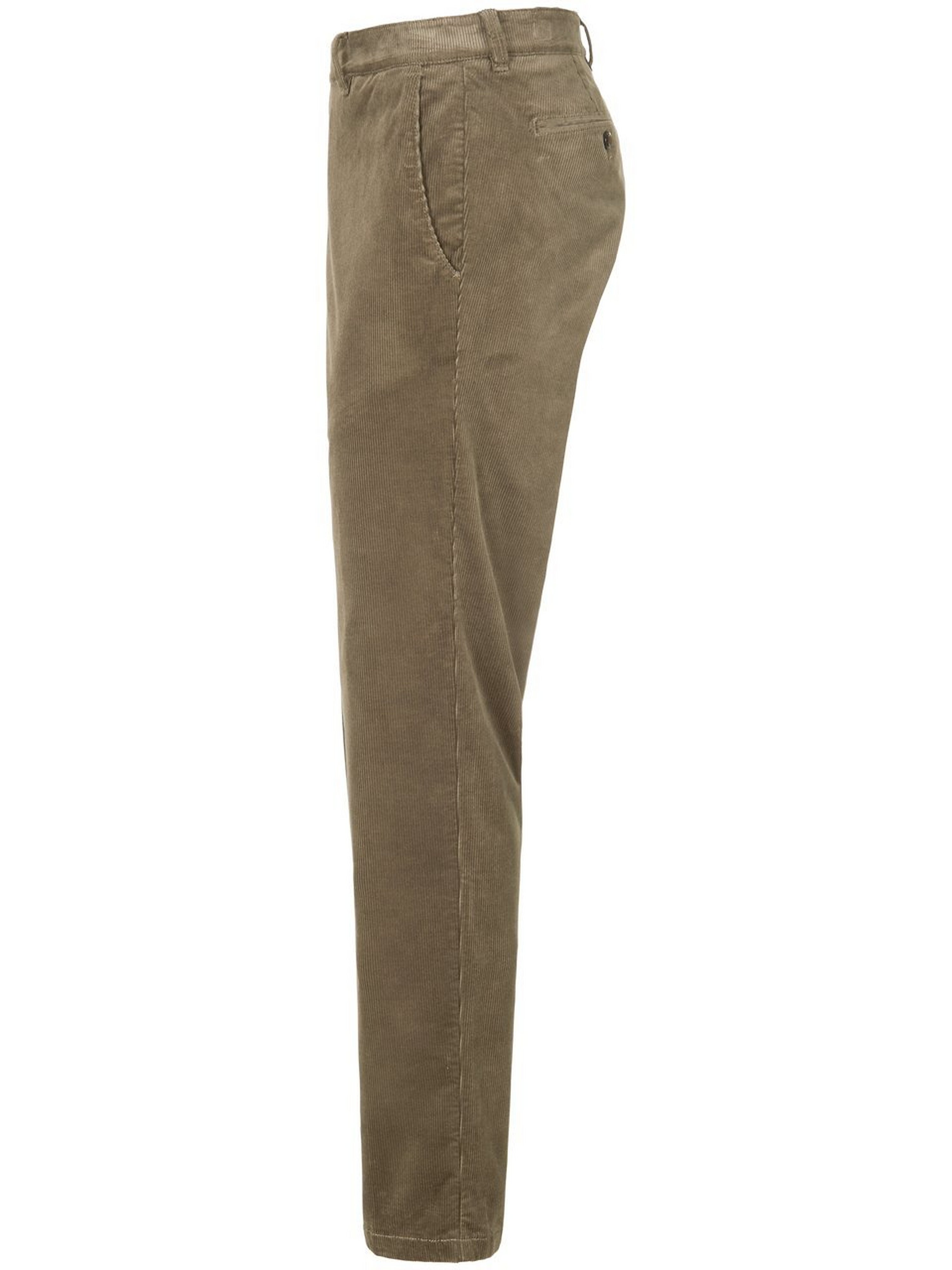 Feincord-Chino