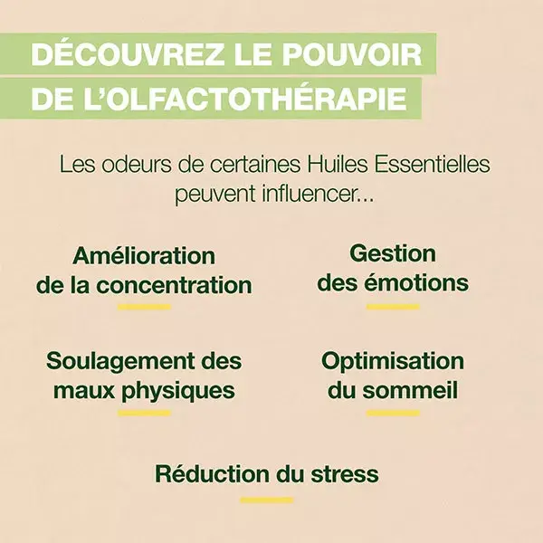 Pranarom Aromaboost Roller Focus Concentrationbio 5 ml