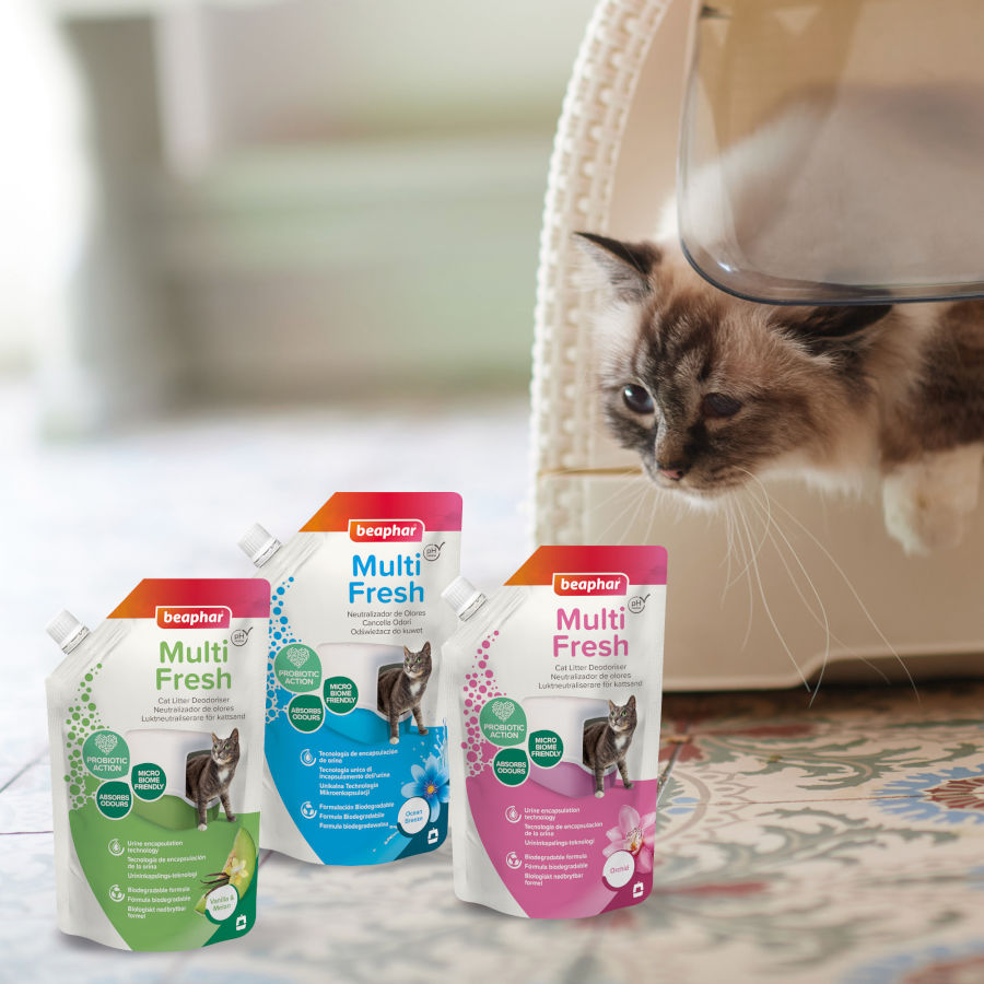 Beaphar Multi Fresh Orchid Neutralizer para Gatos