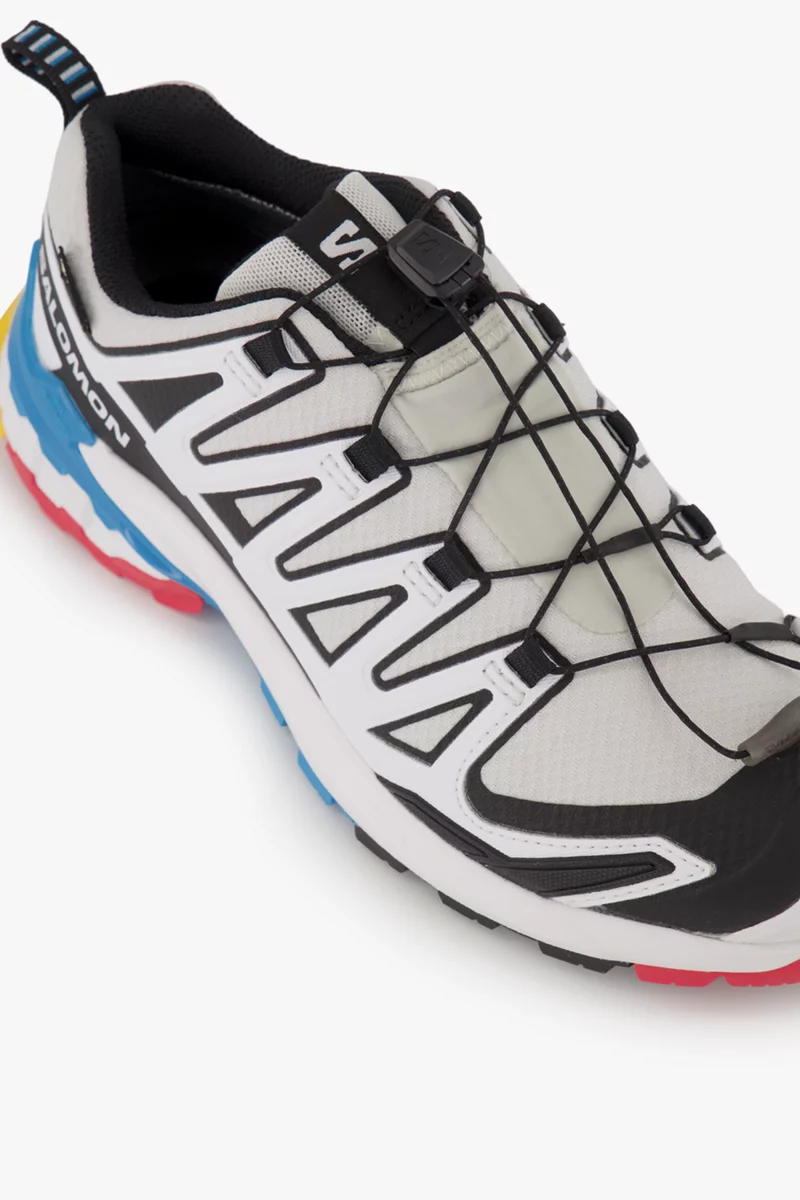 Salomon XA Pro 3D V9 Gore-Tex® Damen Trekkingschuh