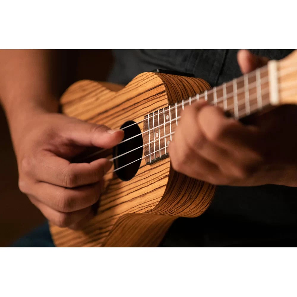 Ortega RFU10ZE Timber Series Natural E/A sopraan ukelele met gigbag