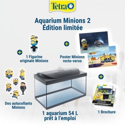 Aquário Tetra Minions 54L