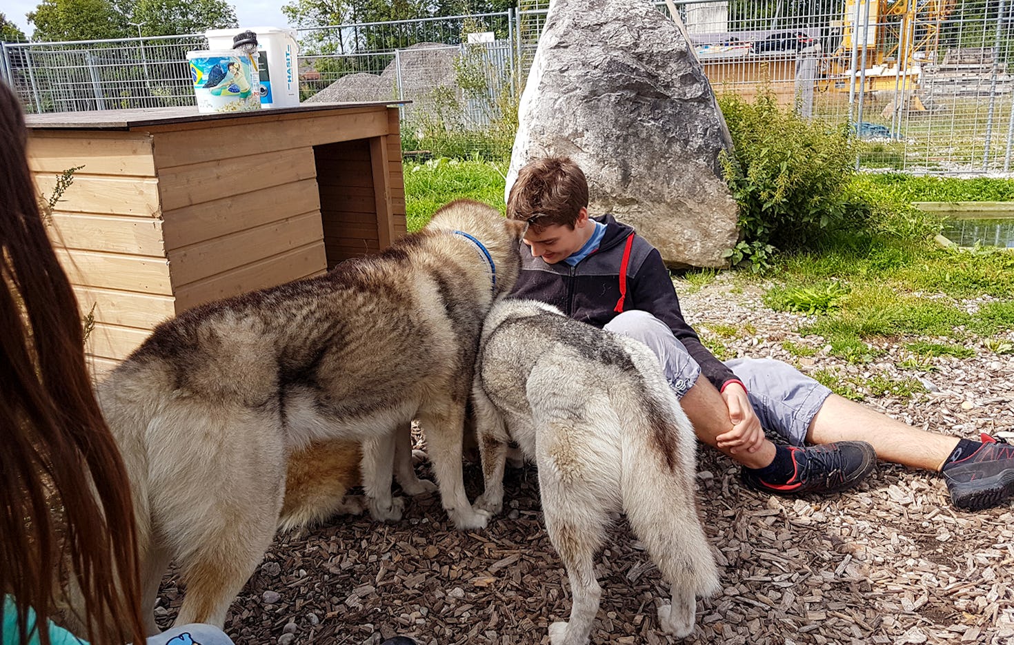 Husky Wanderung für 2 Wiedergeltingen