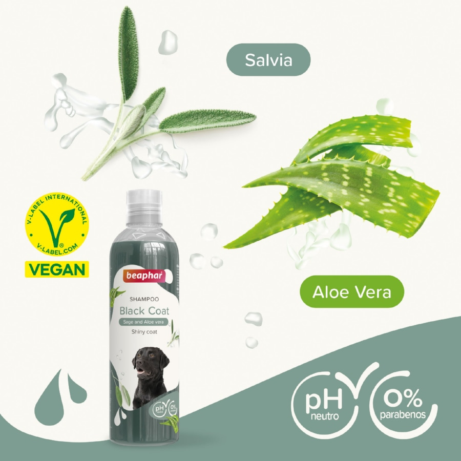 Shampoo Beaphar Black Hair para cães