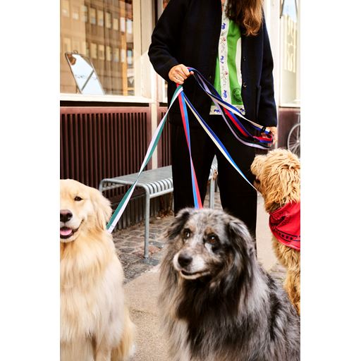 HAY Dog Flat Hundesnor, Blue/Off White
