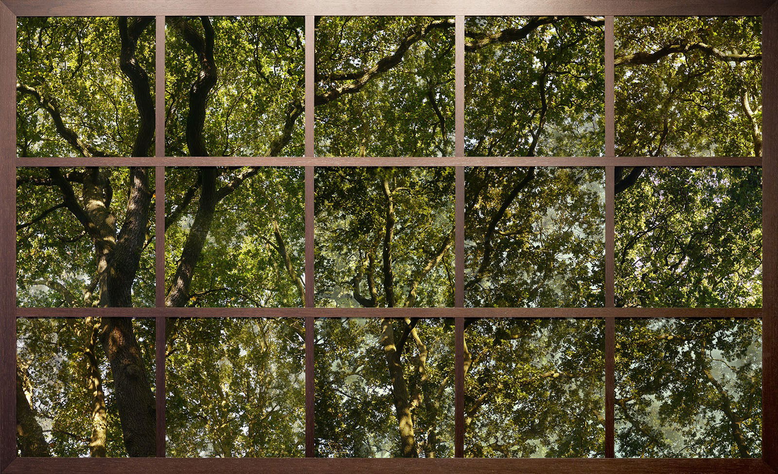 Treescape I by Christiane Zschommler - Limited Edition. Edition of: 75. Signed.