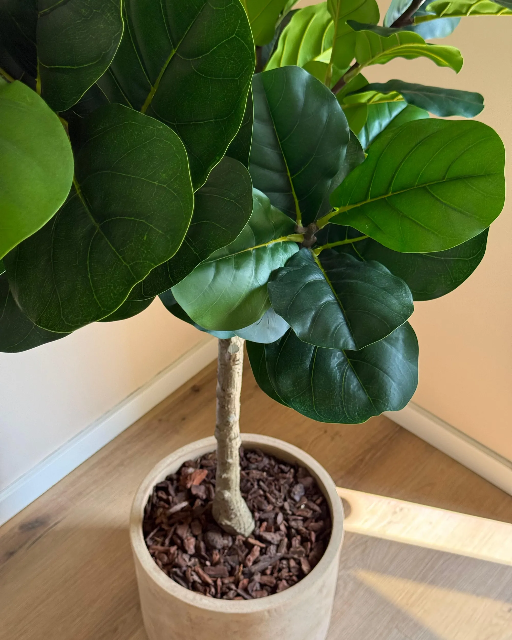 Kunstplant FIG TREE 162 cm Groen