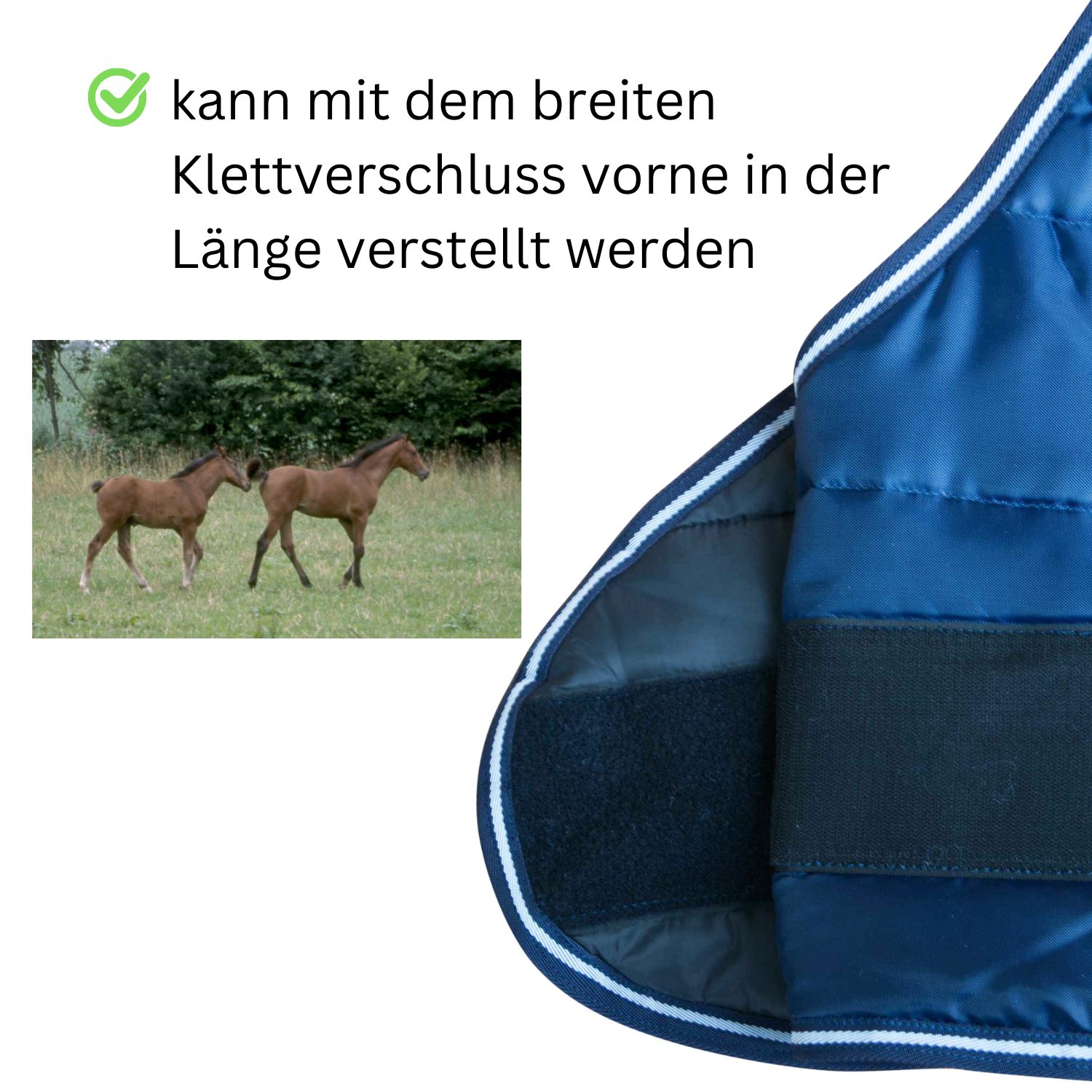 AMKA Fohlendecke LERUM