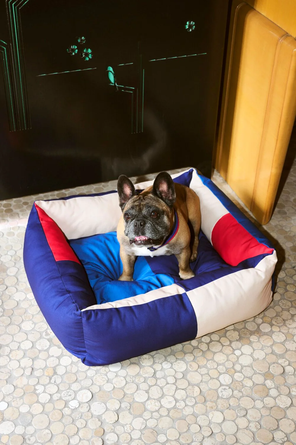 HAY  Hundeseng, medium - rød/blå