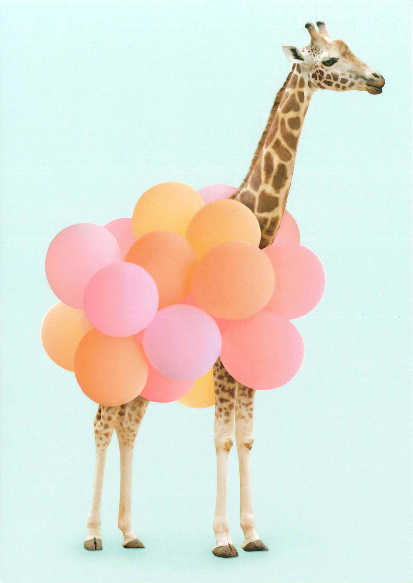 Postkarte 'Party Giraffe' günstig bestellen