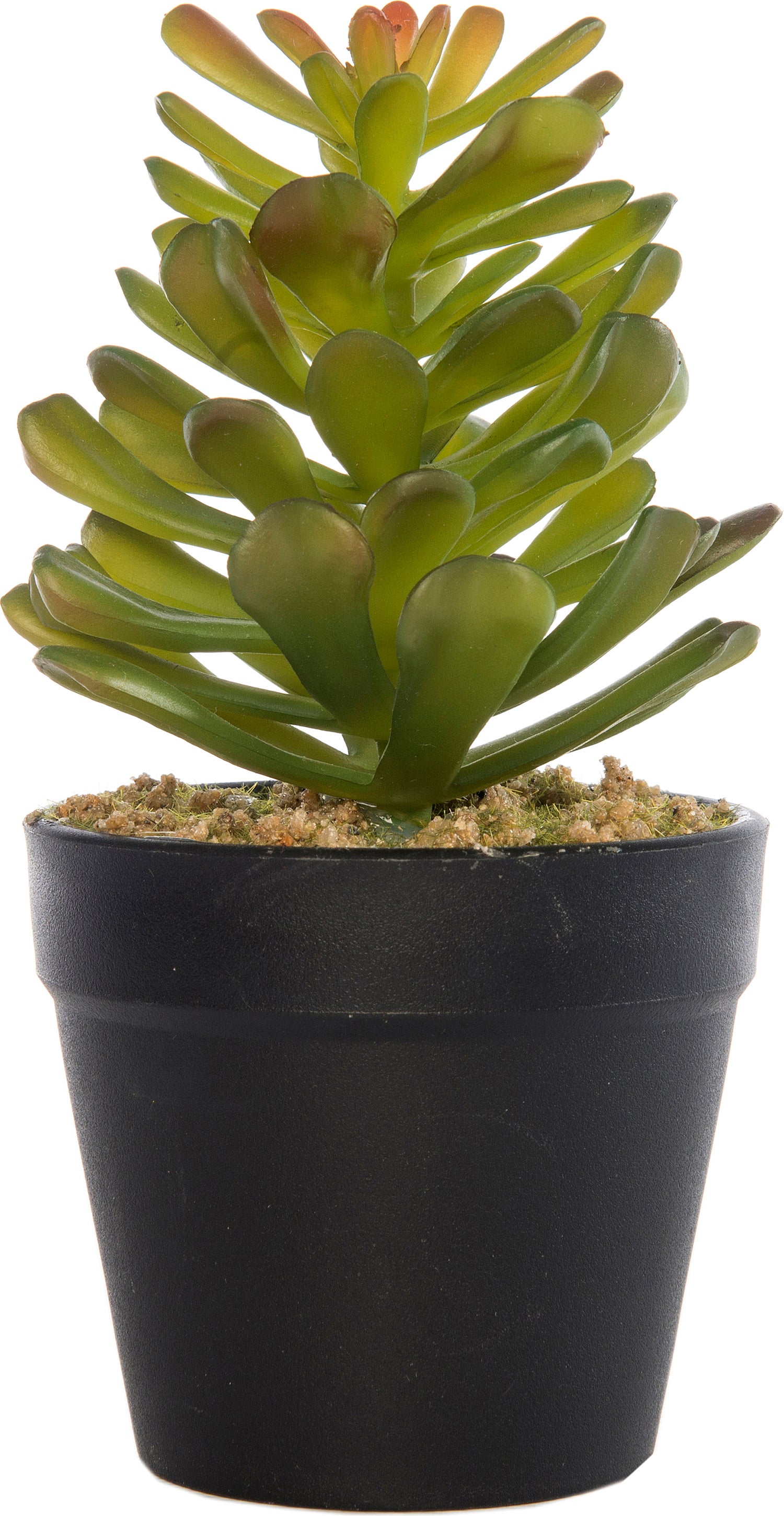 Intratuin kunstplant vetplant D 9 H 16 cm