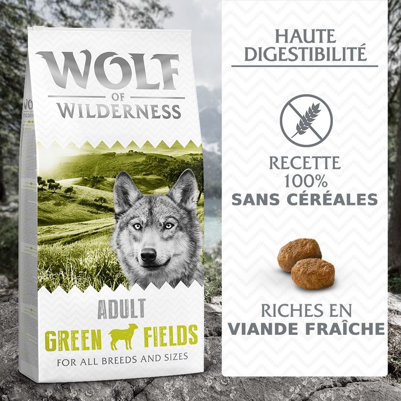 Wolf of Wilderness Adulte Green Fields, agneau