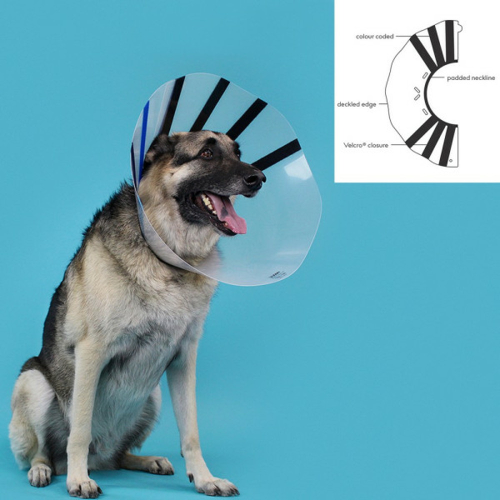 Collier de protection isabelino pour chiens ez clear (16-19 cm)