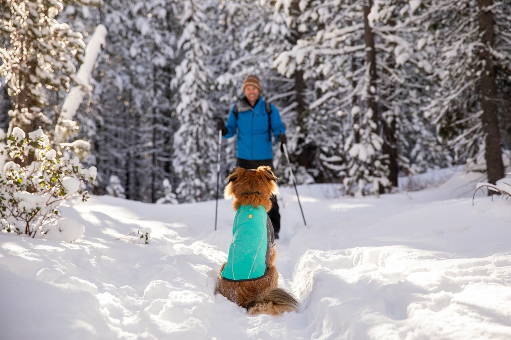 Veste imperméable cloud chaser™ avec manches et fermeture éclair. Couleur: aurora teal (sarcelle), taille: l