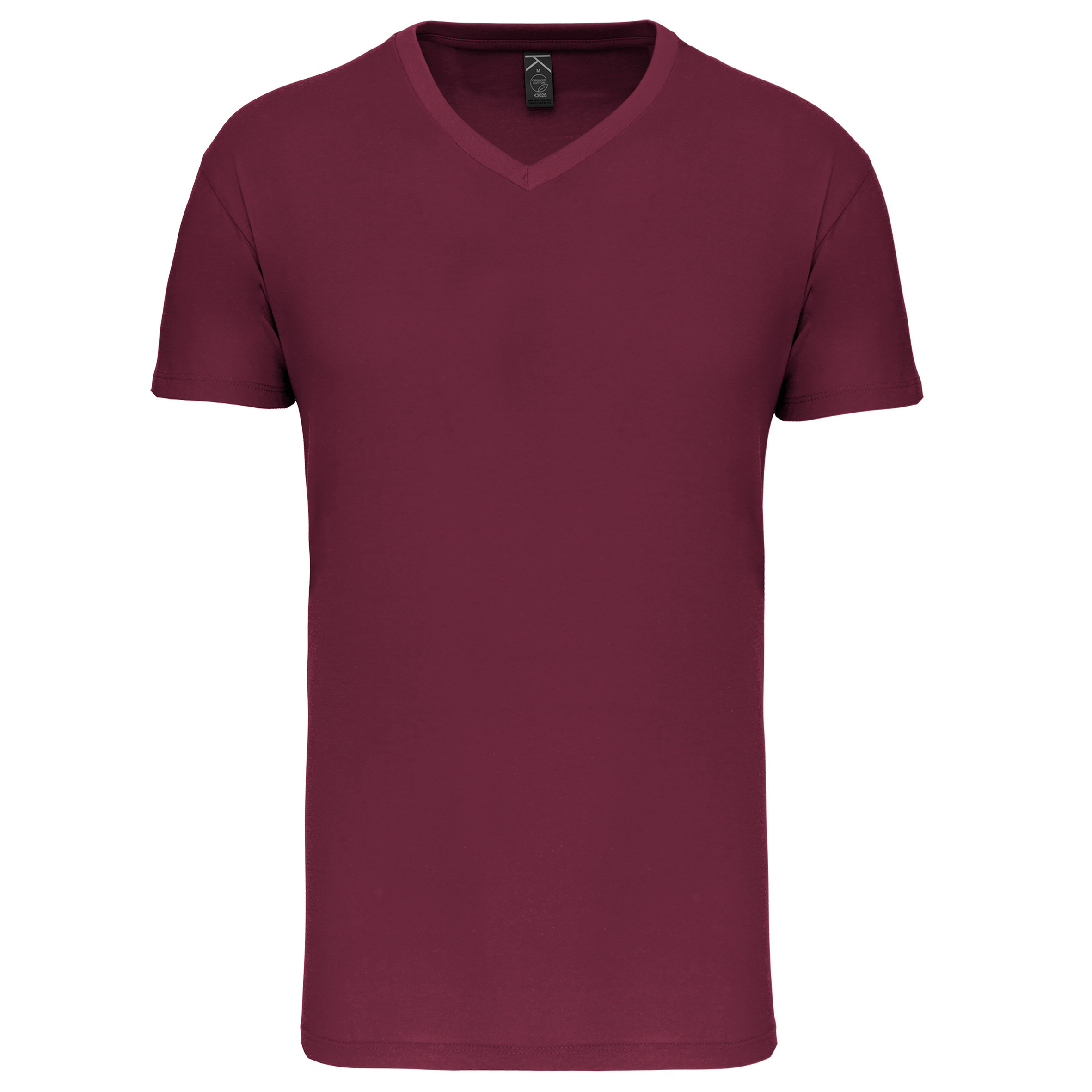 Kariban K3028IC - T-shirt Bio150IC col V homme