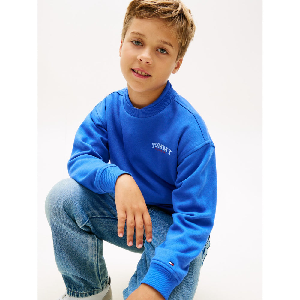 Køb Tommy Hilfiger Empire Blue Monotype Graphic Sweatshirt