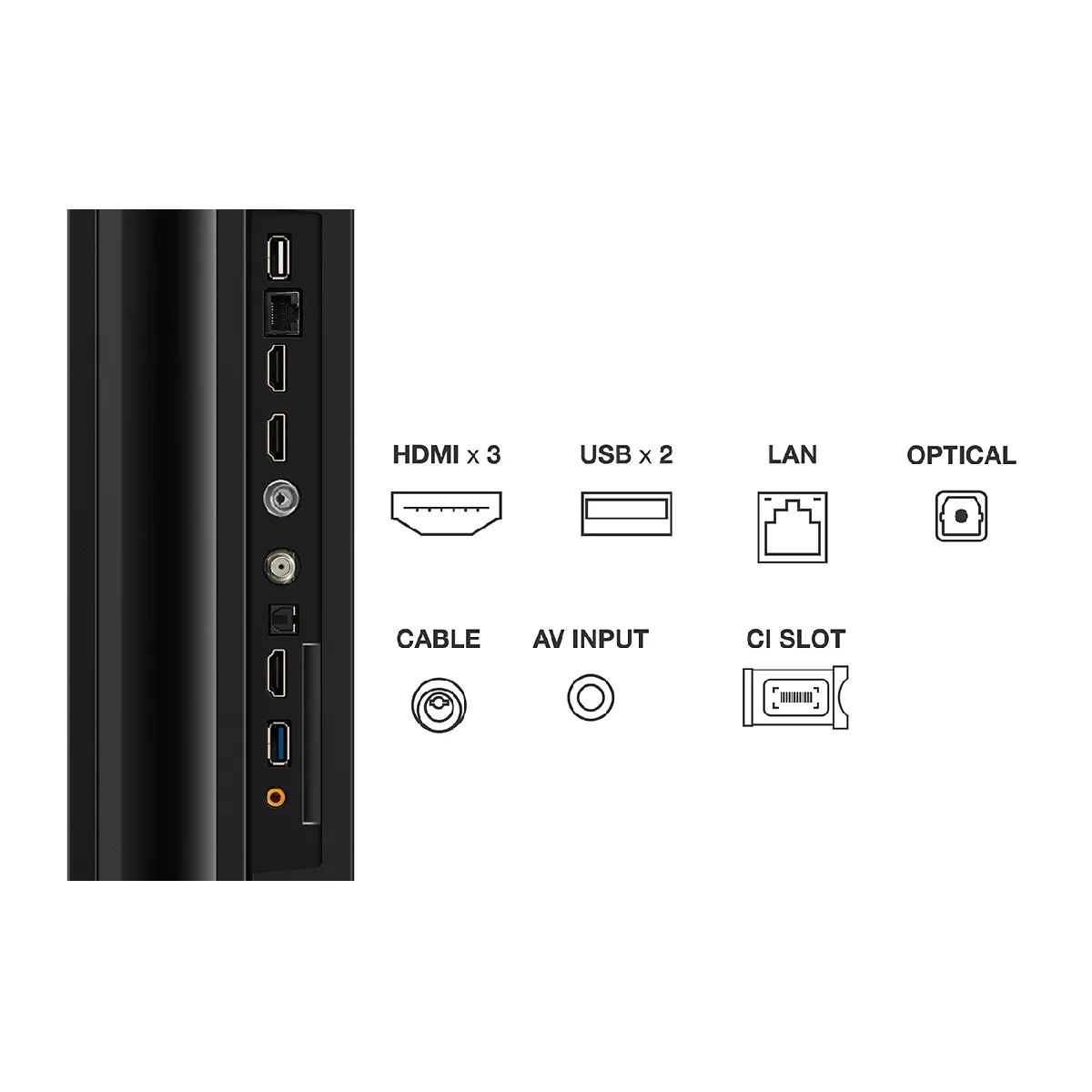 TCL 65P79B