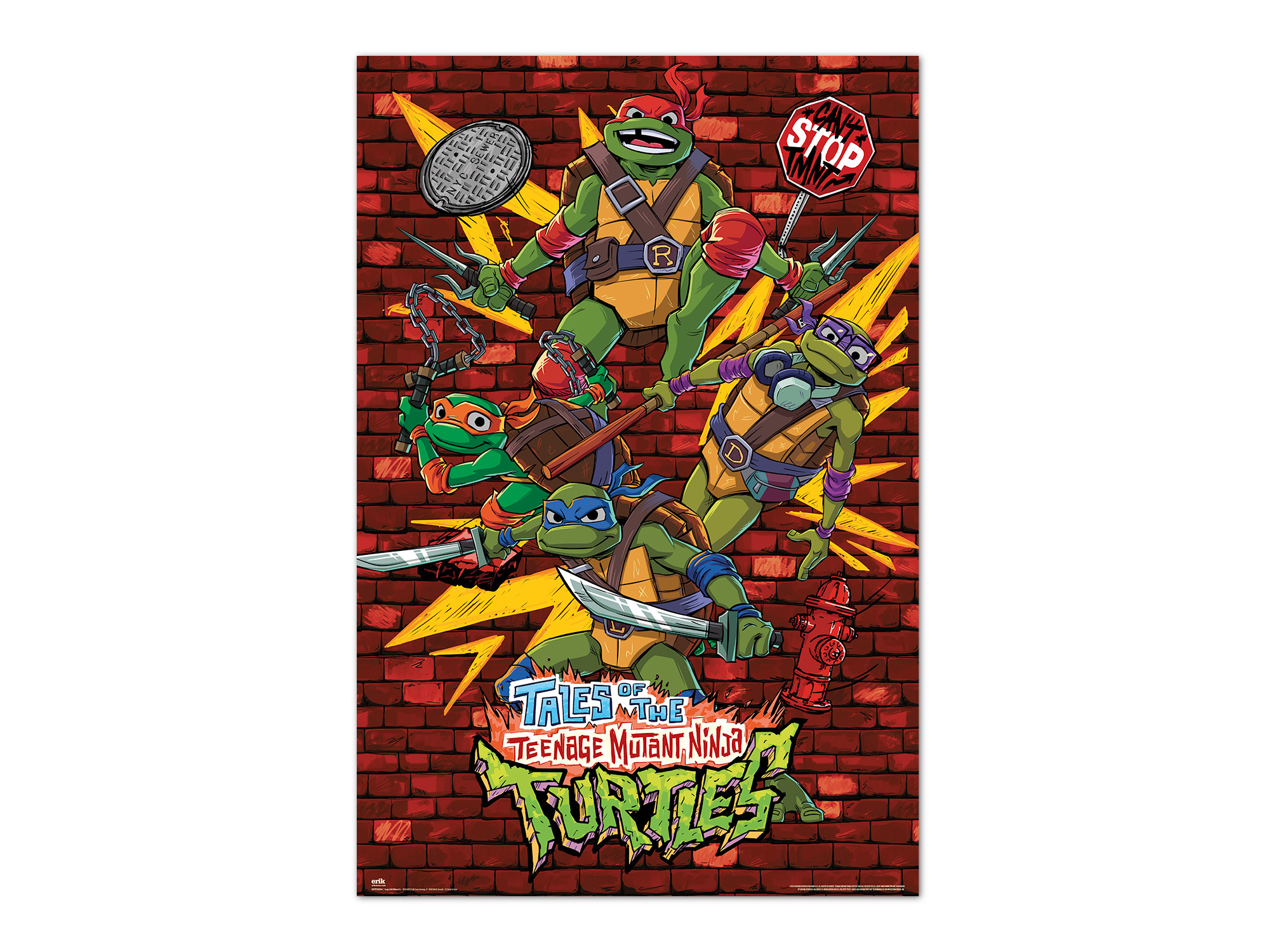 POSTER TARTARUGAS NINJA ERIK